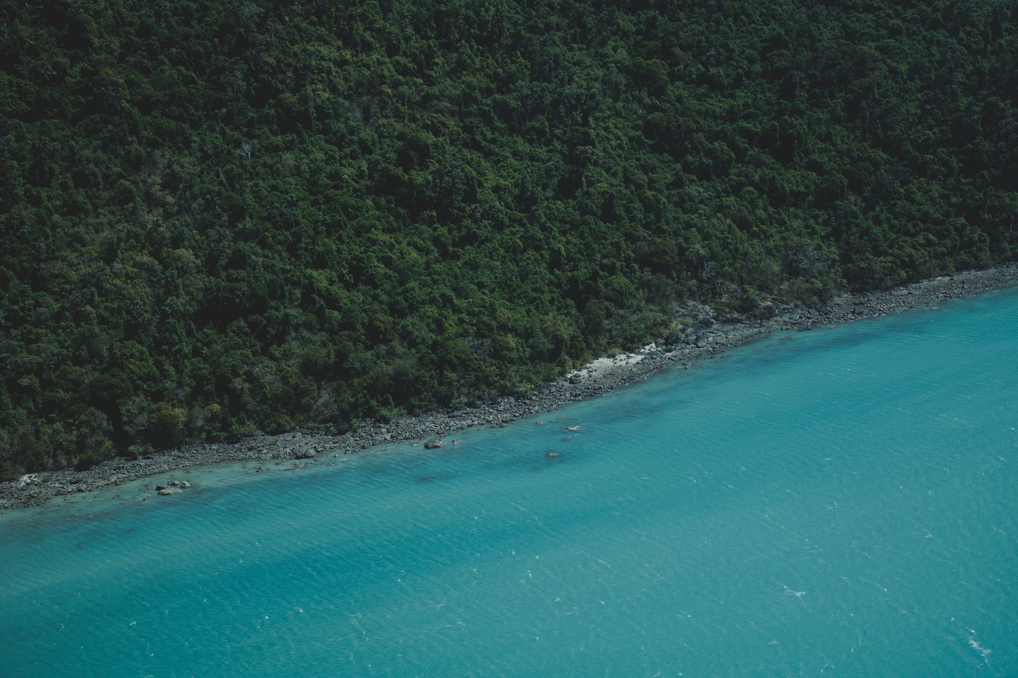 Aerial view of a lush green coastline meeting brilliant turquoise Caribbean water.